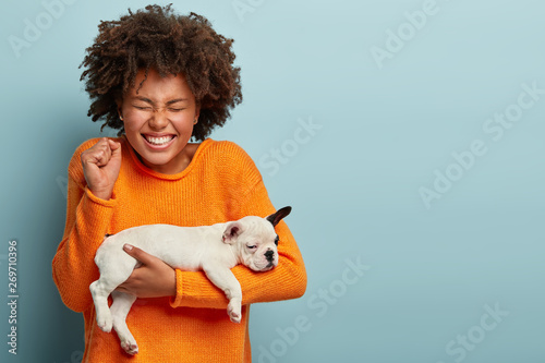 Overjoyed Afro female clenches fist from joy, glad to buy desirable pedigree breed dog, poses with french bulldog puppy, closes eyes from pleasure, models over blue background with blank copy space photo