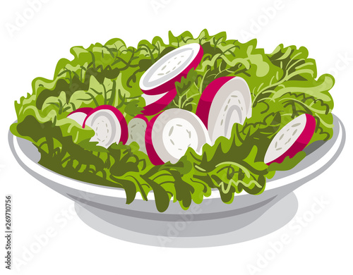salad with radish