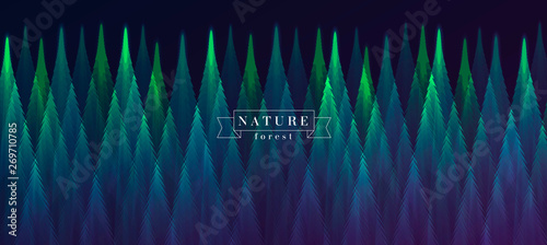 forest at night landscape view abstract geometric illustration