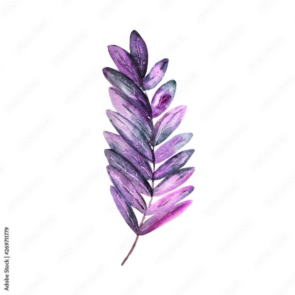 Purple tropical leaf Purple tropical leaf