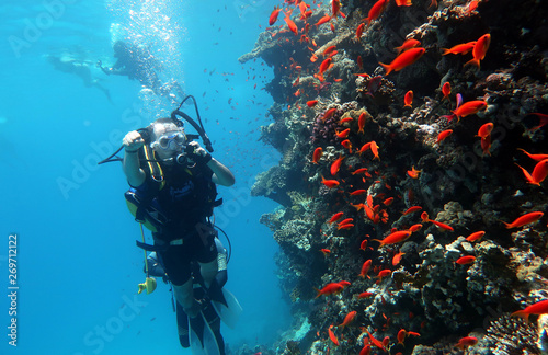 Fototapet Diving in the Red Sea in Egypt, tropical reef