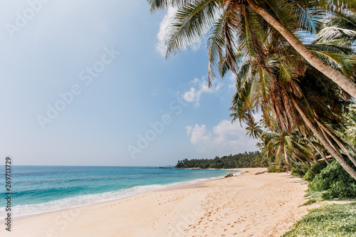 White sand   blue water in Tangalle. Amanwella beach with thin palm trees in the southern province of Sri Lanka. Majestic bay in Indian Ocean. Waves breaking on the tropical most beautiful beach.