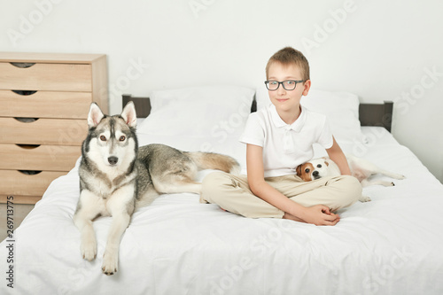 boy in glasses with dogs husky and jack russell lying on a white bed at home