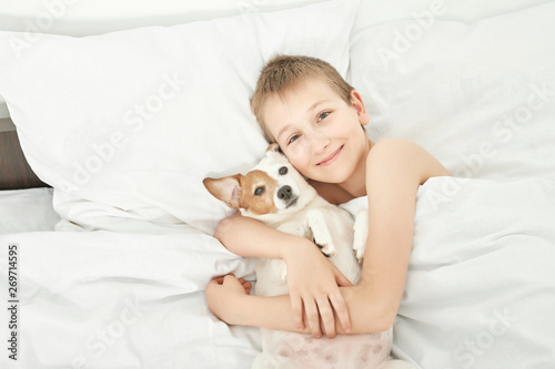 boy sleeping with dog jack russell on white bed at home