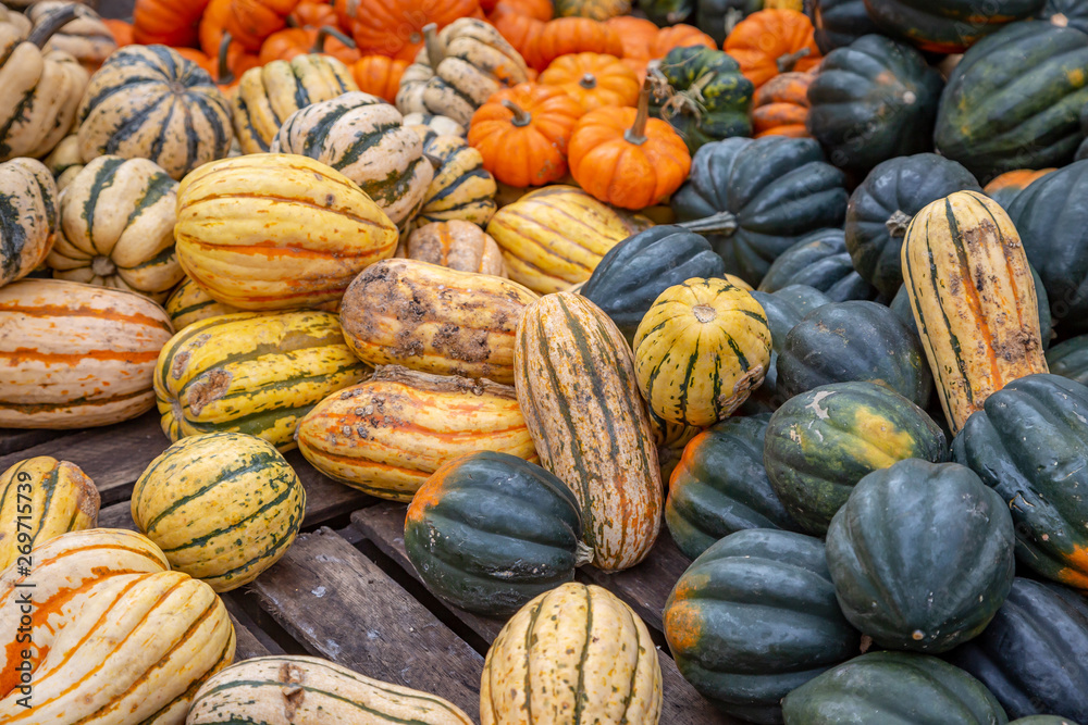 An assortment of pumpkins and squash for sale on a market stall
