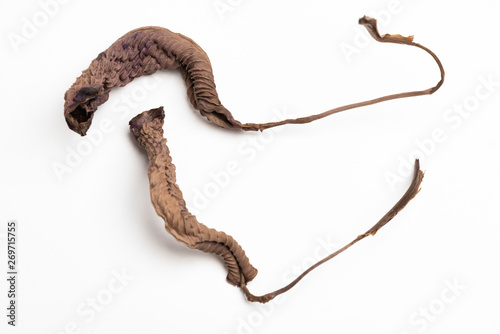 A close-up look at the form, shape and texture of two dried brown leaves set artistically as fine art composed image on a plain white background.