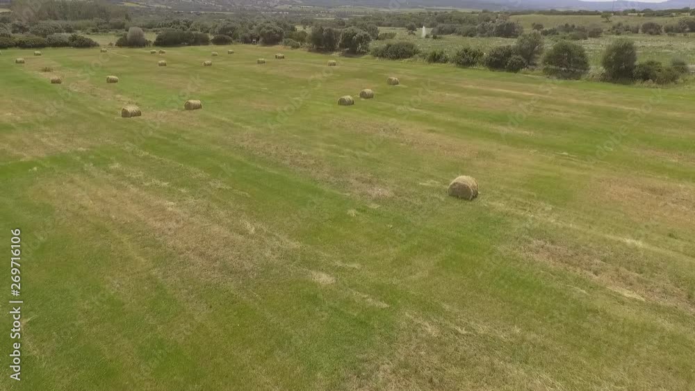 bird eye aerial view of hay ball bird eye aerial view of hay ball