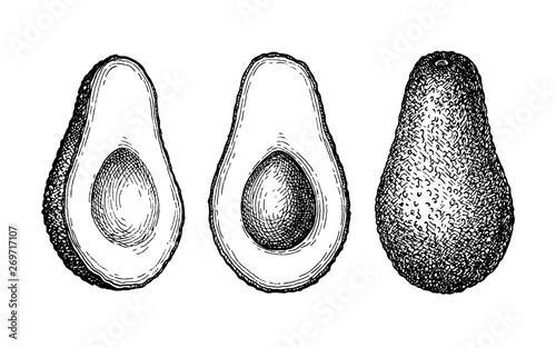 Ink sketch of avocado.