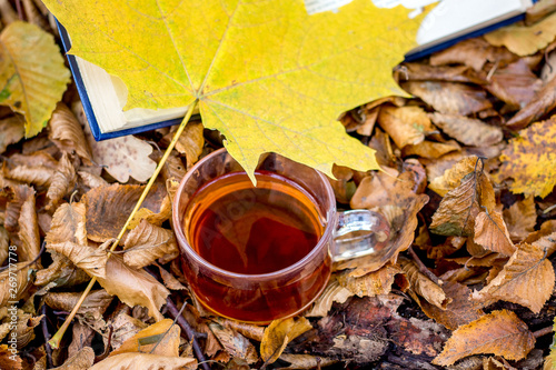 A cup of tea and a yellow maple leaf near an open book in the autumn forest_