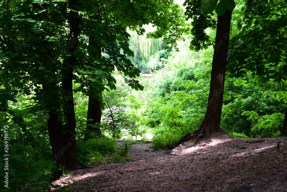 Obraz premium Park in Kiev