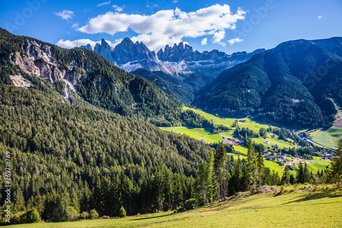 The green Alpine meadows