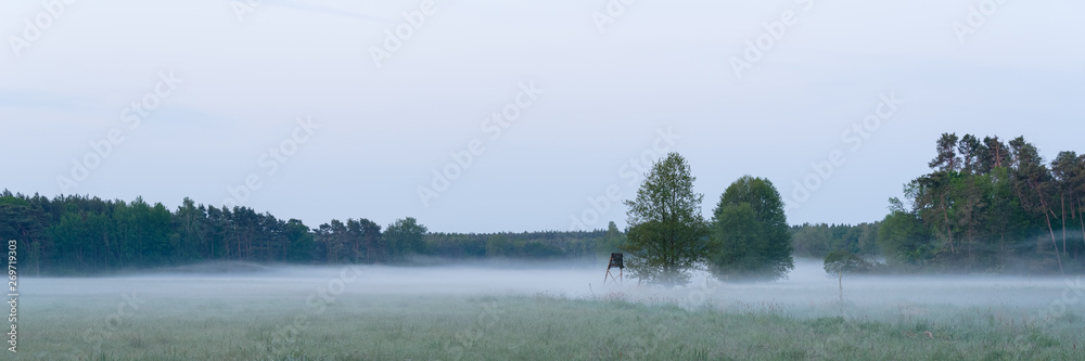 Fog on a green meadow surrounded by forest against blue sky in the Havelland region in Brandenburg. Germany Fog on a green meadow surrounded by forest against blue sky in the Havelland region in Brandenburg. Germany
