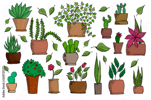 Set of isolated colored hand drawn flowers in pots on white background vector illustration