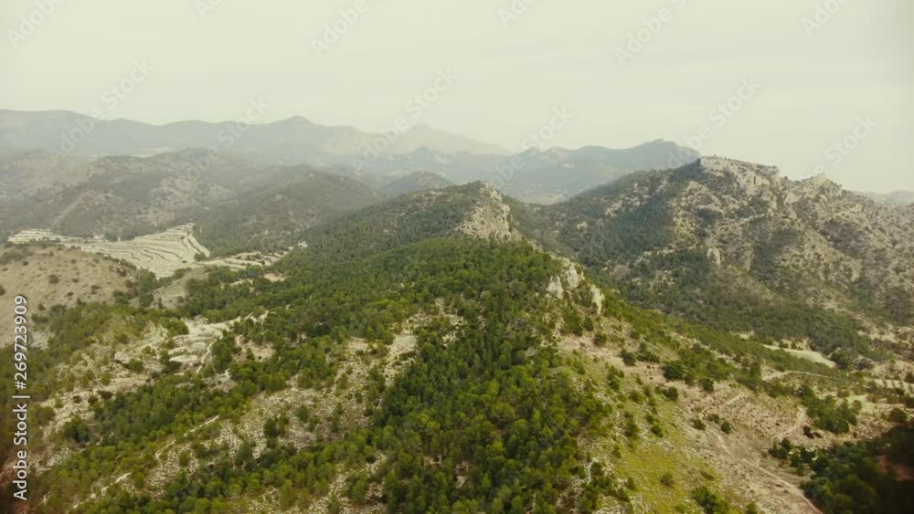 Aerial view of a forest of mediterranean pines in the mountains of the south of Spain. Aerial view of a forest of mediterranean pines in the mountains of the south of Spain.
