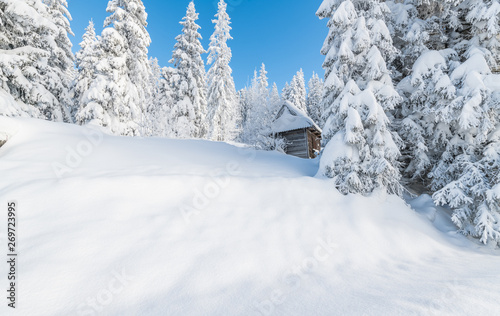 wood house in the snow