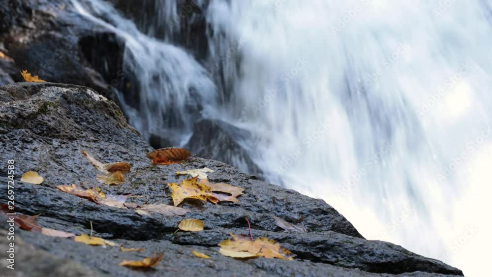 Close shot of orange maple tree leaves laying on a black rock in the foreground, white clear water running in the background Close shot of orange maple tree leaves laying on a black rock in the foreground, white clear water running in the background