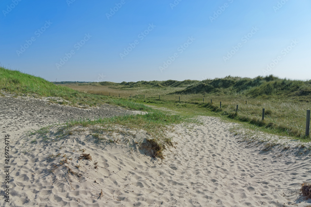 Panoramic view at grass covered sand area Panoramic view at grass covered sand area