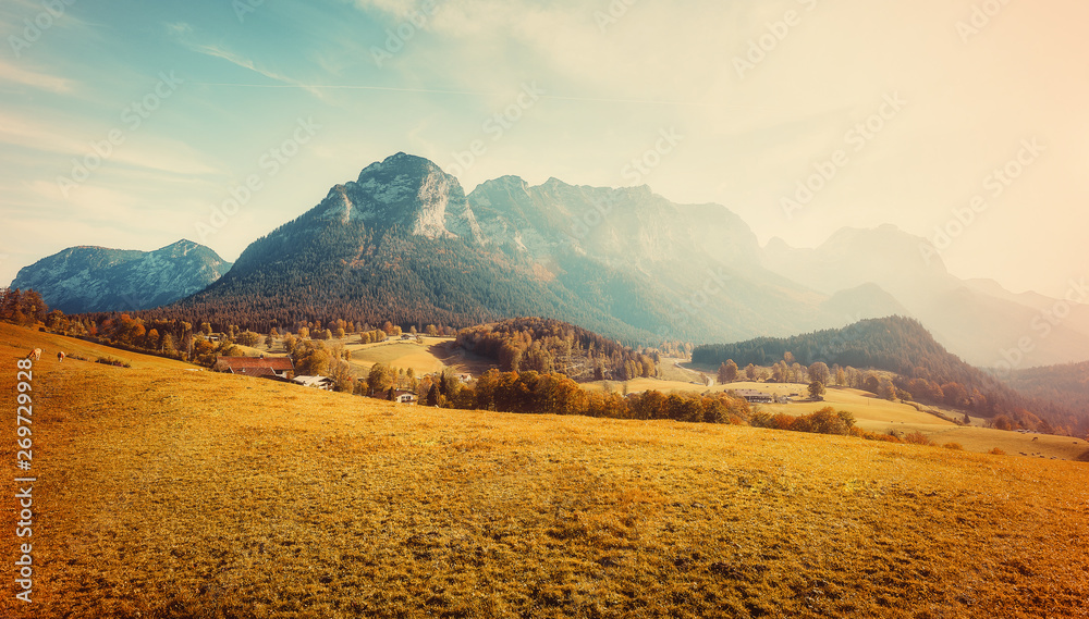 Awesome alpine highlands in sunny day. unsurpassed autumn landscape in Austrian Alps under sunlit. Impressive Athmospheric Scenery at sunset with perfect alpine meadow with fresh grass on Foreground