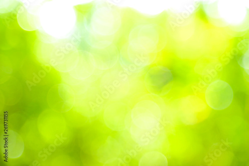 nature display background with blurry background