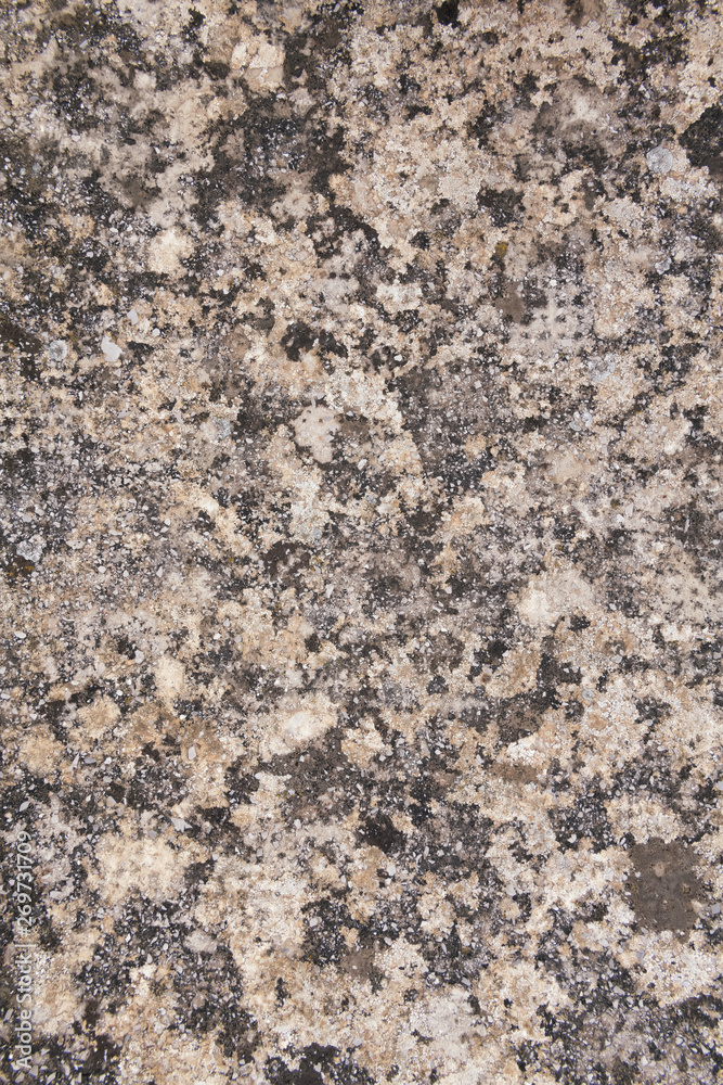 Old stone texture. Dirty rock surface covered with lichen and moss for backgrounds Old stone texture. Dirty rock surface covered with lichen and moss for backgrounds