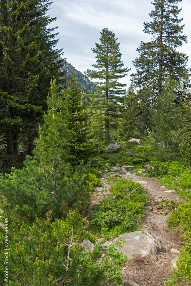 Obraz premium Summer Landscape from trail for Malyovitsa peak, Rila Mountain, Bulgaria