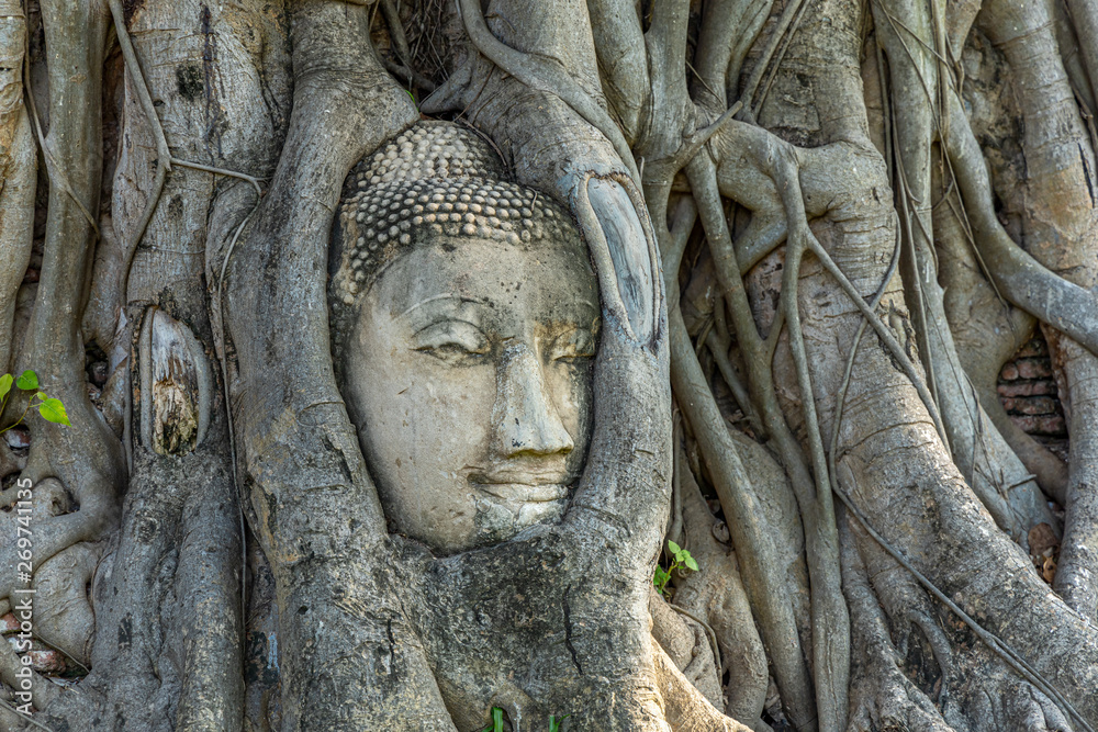 Buddha head in tree roots at Wat Mahathat, Phra Nakhon Si Ayutthaya, Thailand