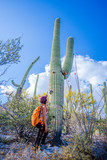 Hiker and Saguaro