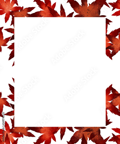 Maple Leaf Tree Frame