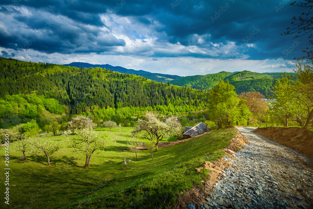 Beautiful simple road landscape in rural Romania