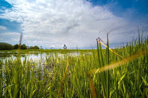 Low view of pond between the reeds with a coastal structure in the distance photo