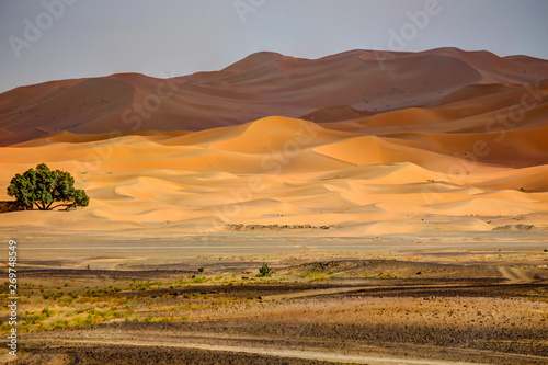 Desert scenery around the mid Atlas Mountains in Morocco