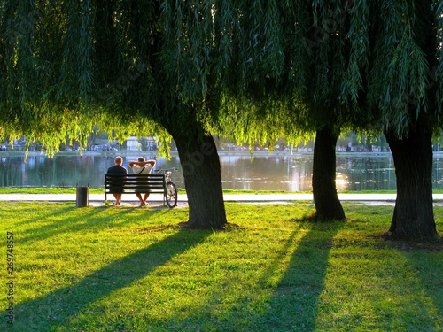 rest under willows