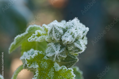 Fall and Winter Scenes in Oregon and California