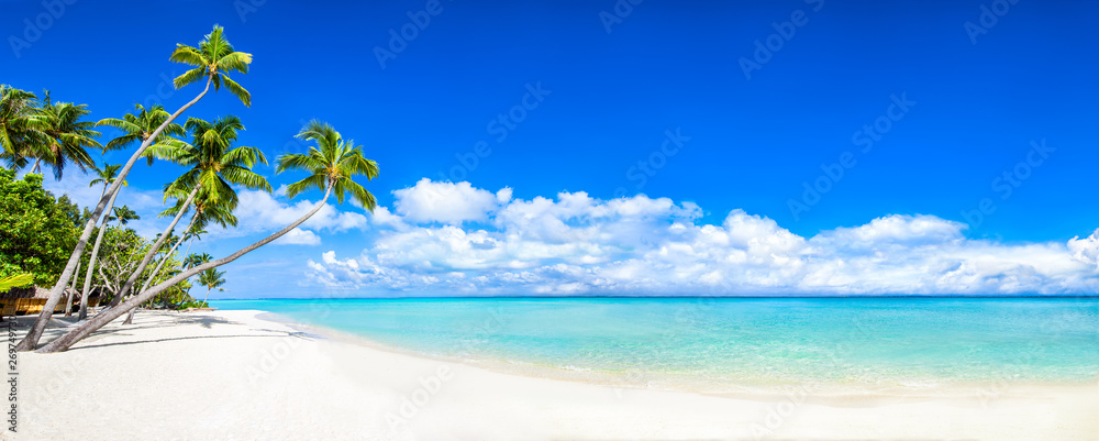 Fototapeta Piękna tropikalna wyspa z palmami i panorama plaży jako obraz tła