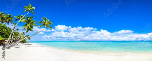 Obraz  z motywem Beautiful tropical island with palm trees and beach panorama as background image