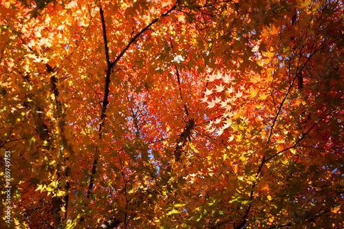 autumn and winter scenes in oregon