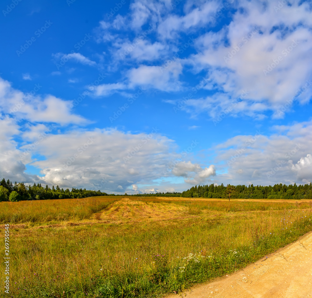 The road through the field in the Leningrad region to the farm.