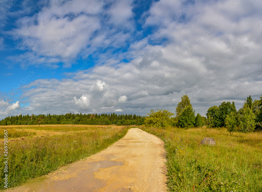 The road through the field in the Leningrad region to the farm.