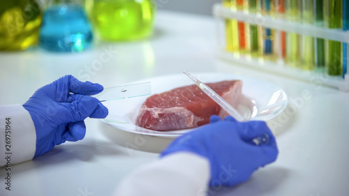 Scientist conducting meat quality test, dripping liquid on glass, asf outbreak © motortion