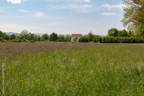 rural landscape with green field, small building and blue sky