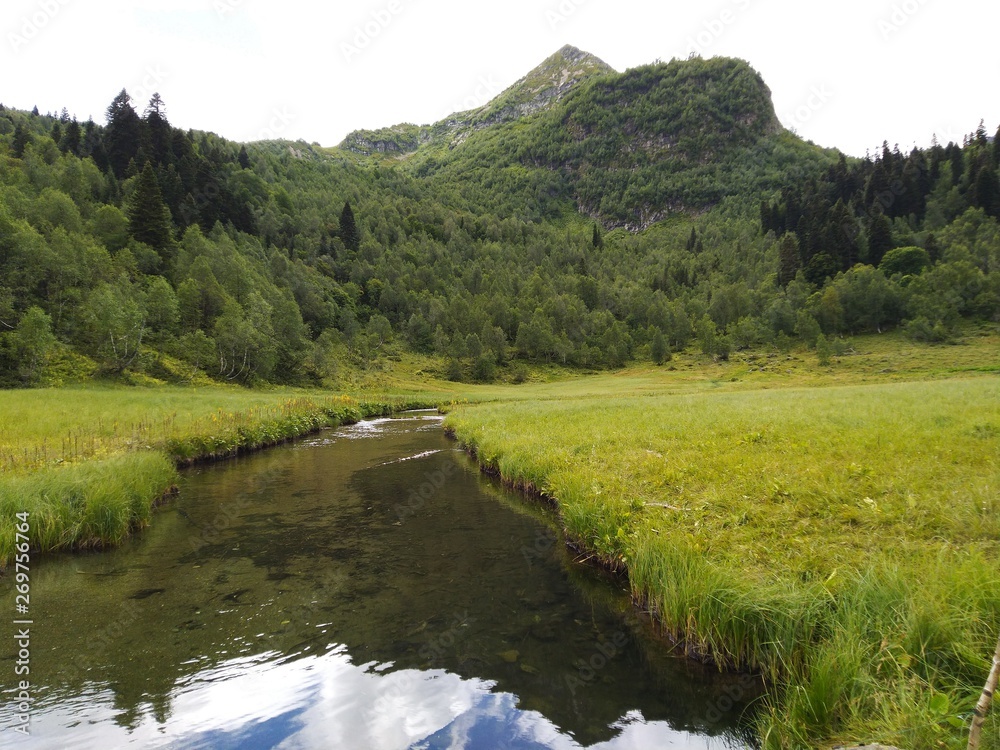 Lake green meadow mountain