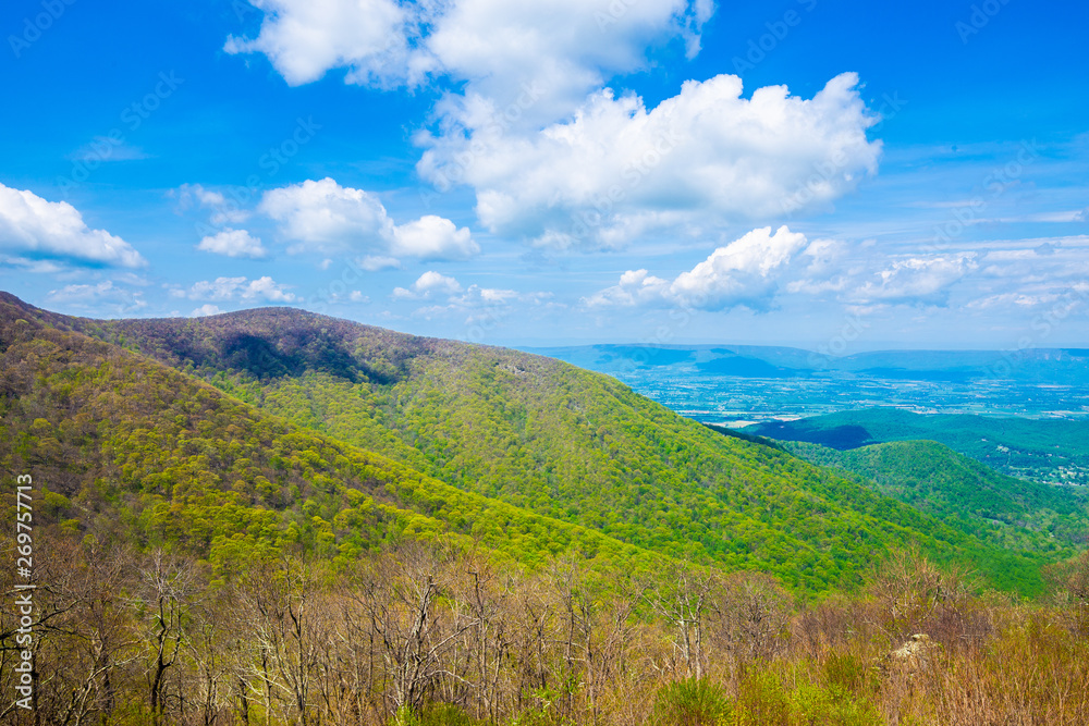 Endless view of mountains. Beautiful nature in Tennesse. USA. 