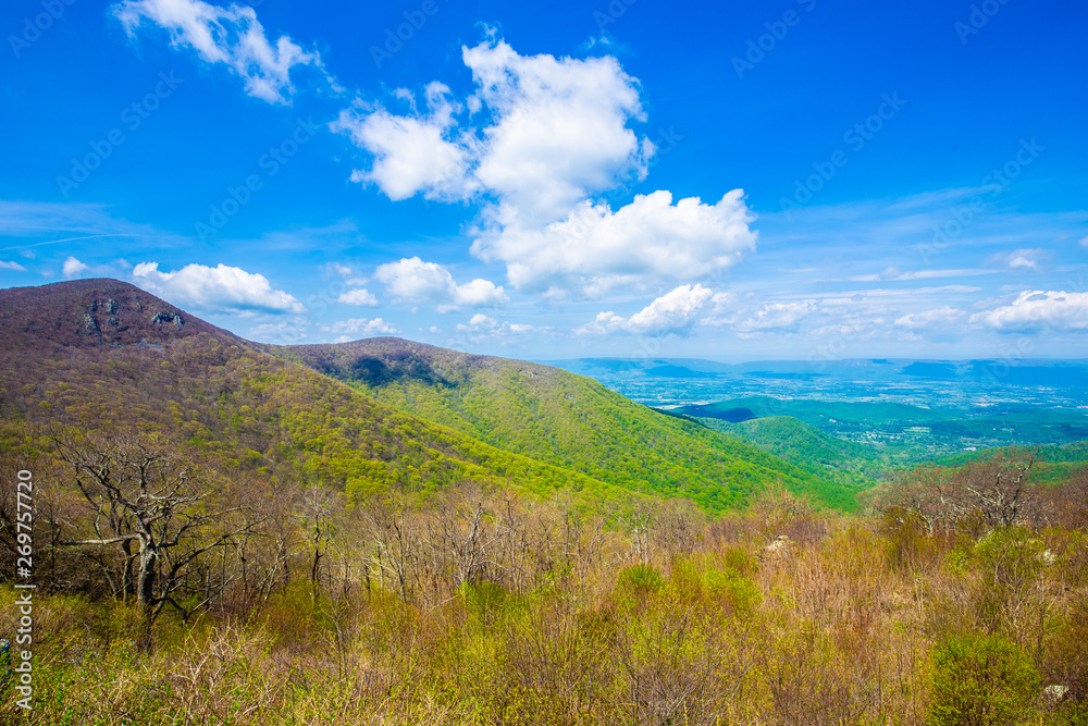 Endless view of mountains. Beautiful nature in Tennesse. USA. 