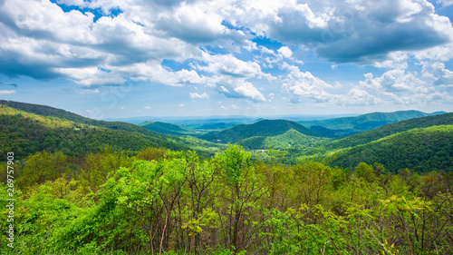 Endless view of mountains. Beautiful nature in Tennesse. USA. 