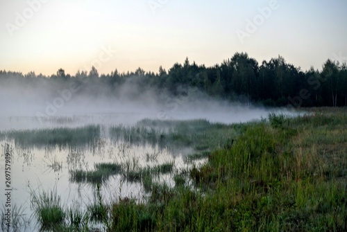 lake, water, landscape, fog, nature, sky, morning, mist, sunrise, autumn, forest, trees, reflection, blue, tree, grass, sunset, clouds, tranquil, swamp, panorama, dawn, calm, outdoors © Елена Тарасова