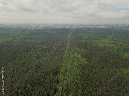 Rzhevsky Forest Park