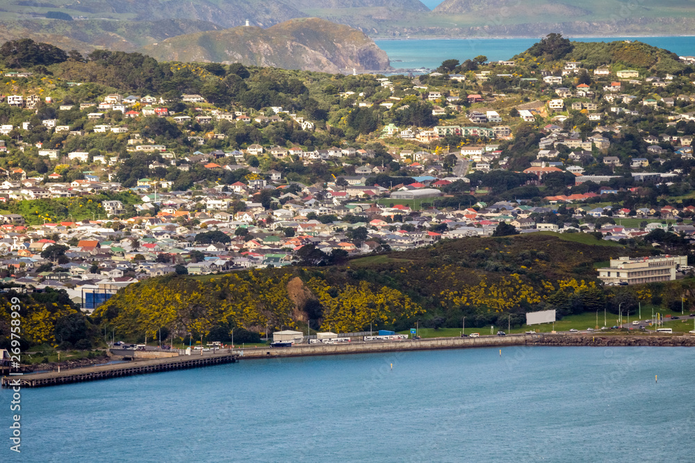 Panoramic view of the buildings and city of Wellington, New Zealand