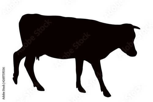 a bull body silhouette vector
