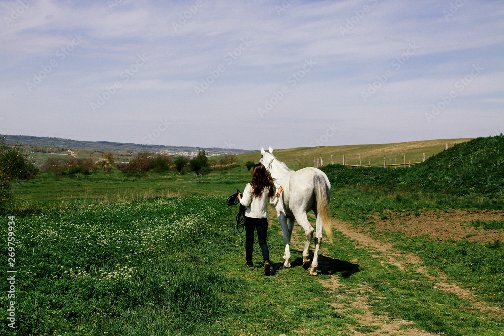 Fototapeta premium A young woman leads a white horse alongside a green field. Love to the animals. Farm and equestrian sport.