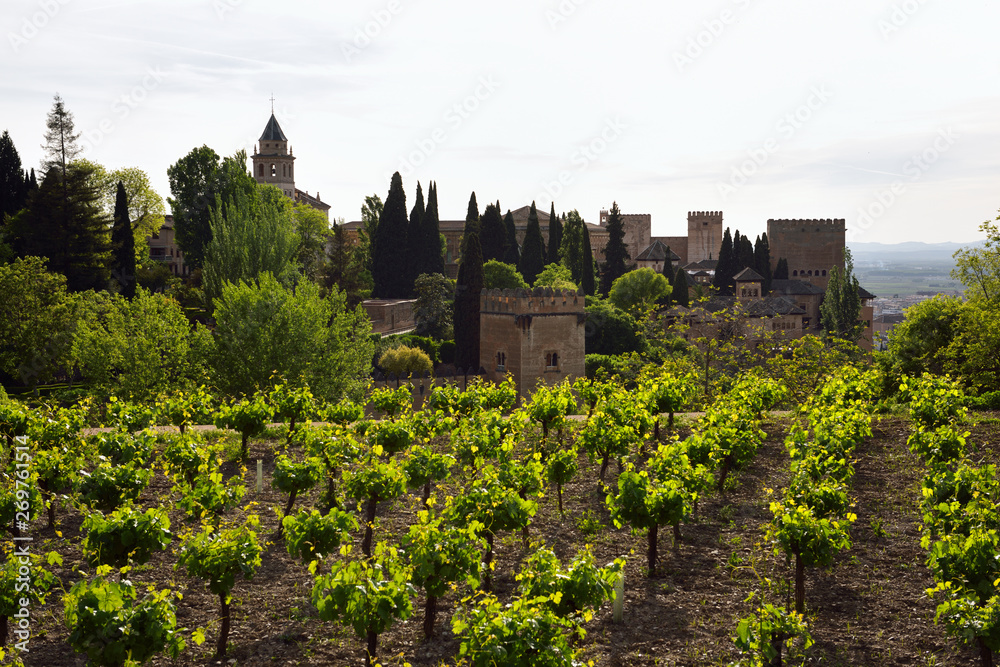 Generalife Vineyard overlooking Saint Mary belfry and Nesrid Palaces in fortified Alhambra complex Granada